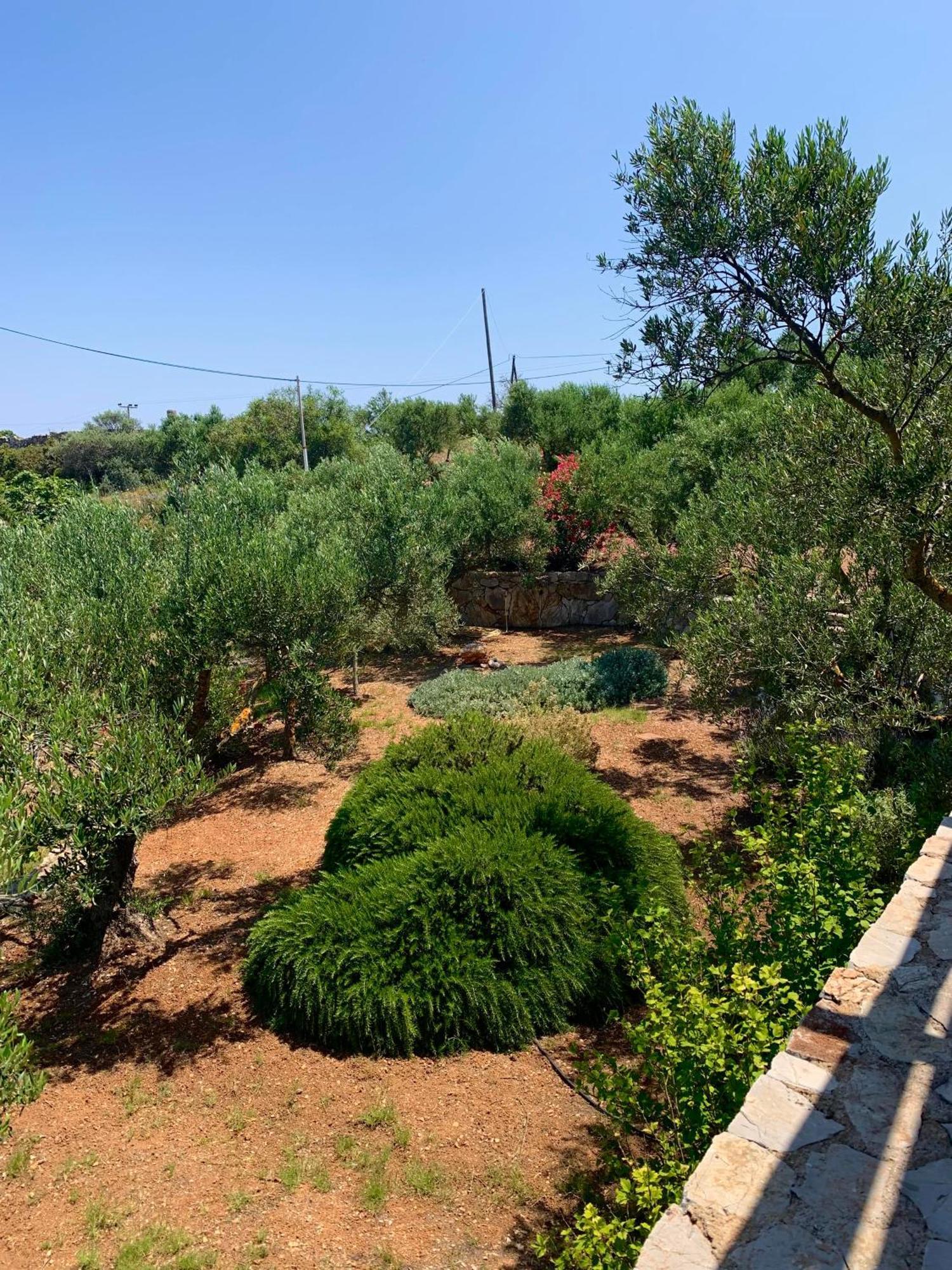 Ampelia Kythira Apartment Livadi  Exterior photo